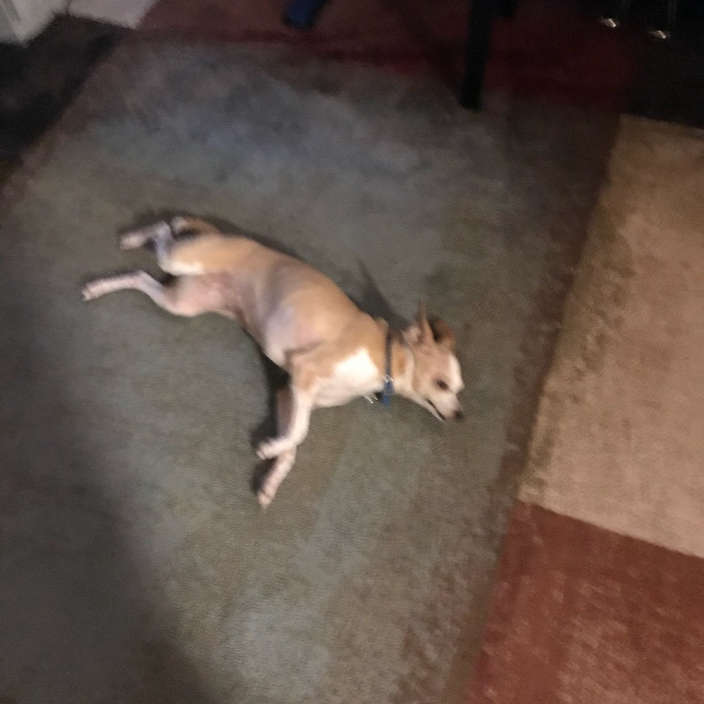 Meet your Posher, Marcos